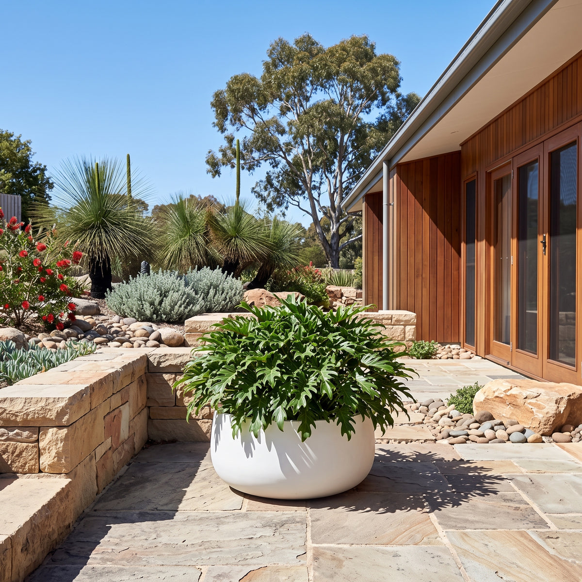 Low profile round white planter pot styled with flowering plant in sunny paved garden