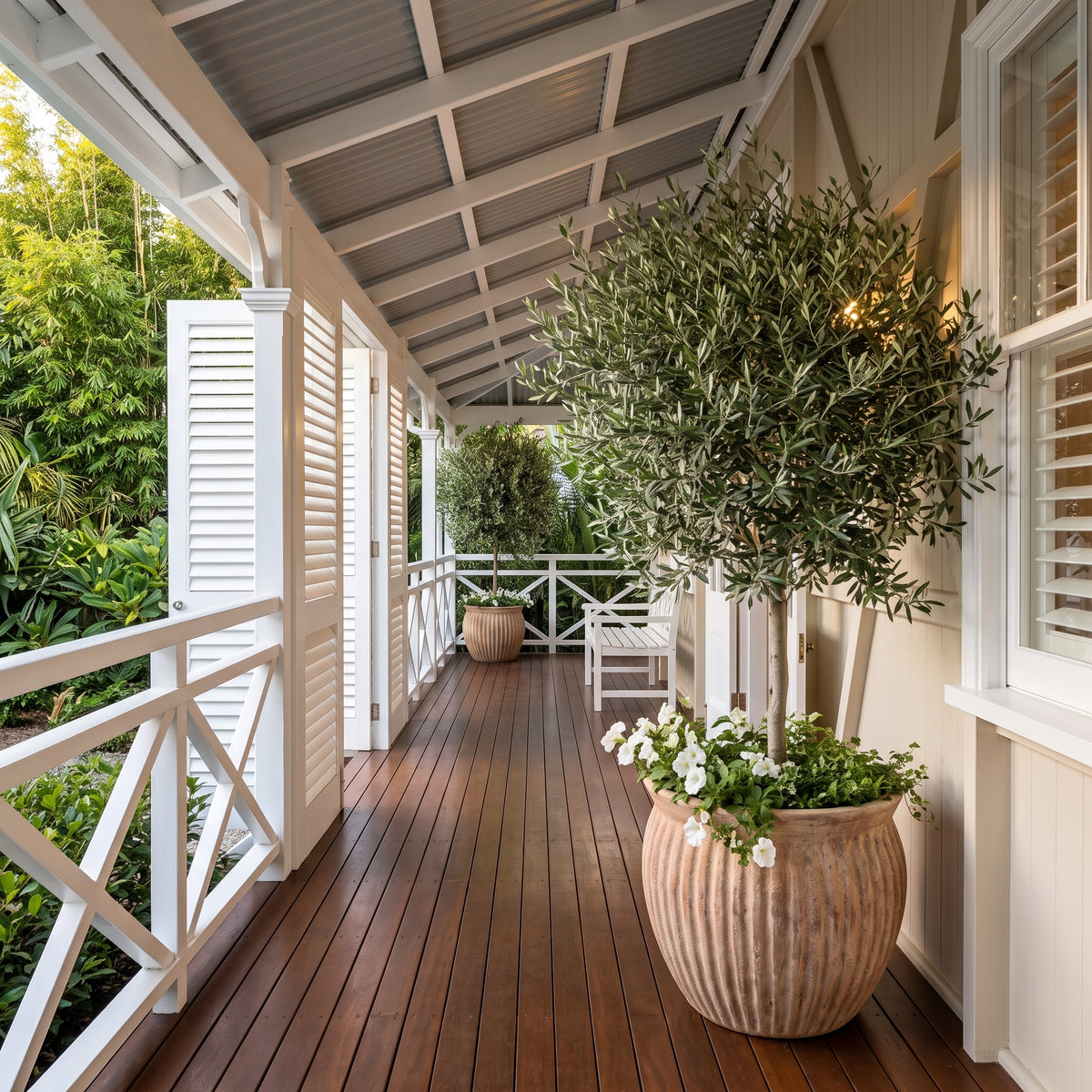 Large antique terracotta Palermo threads belly planter on Queenslander timber verandah