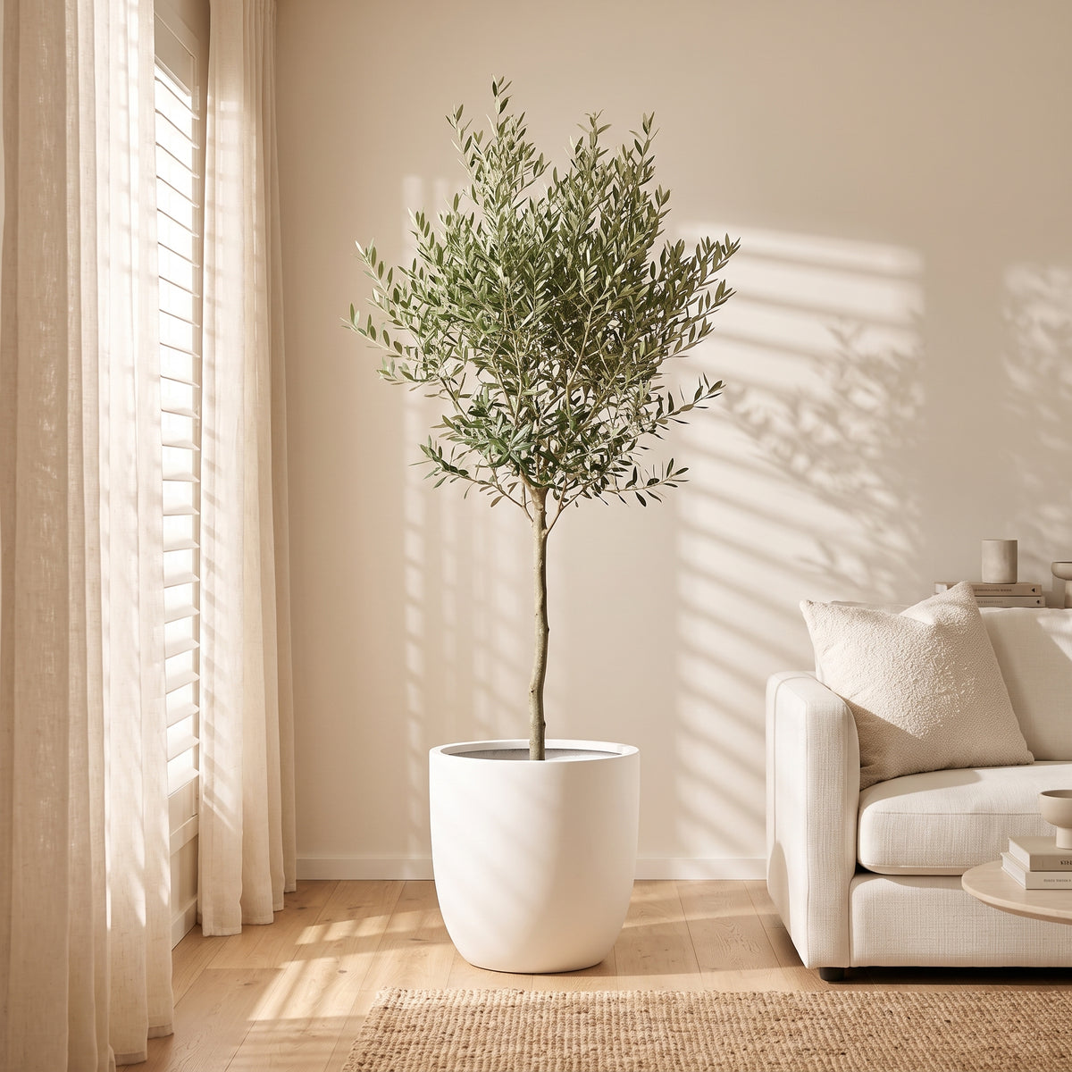 Large Asher pure white egg planter styled with indoor olive tree in bright living room