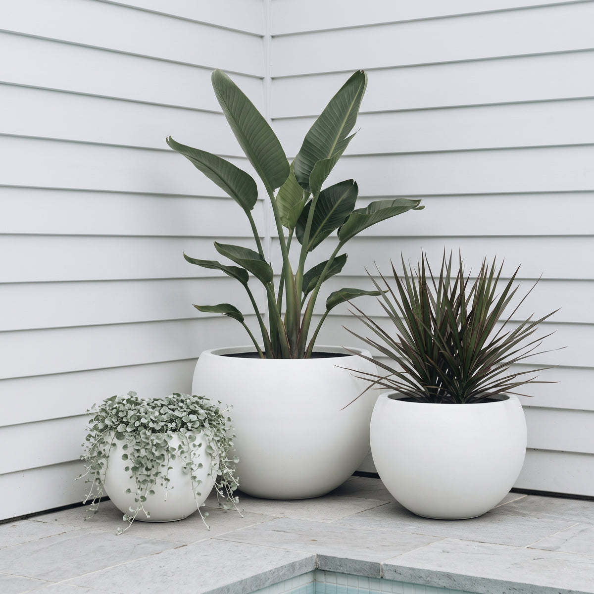 Asher pure white moon bowl planters styled with plants on sunny outdoor patio