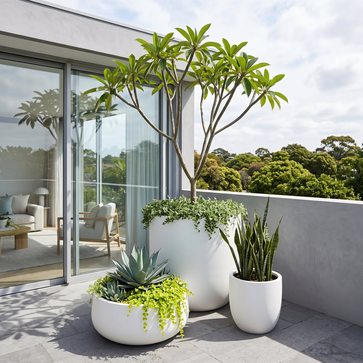Large pure white low bowl planter with lush green foliage on a modern outdoor patio