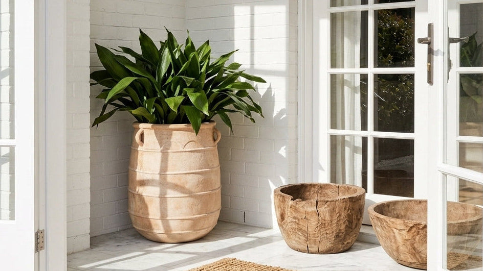 Large antique terracotta Apollo urn planter styled outside white weatherboard home