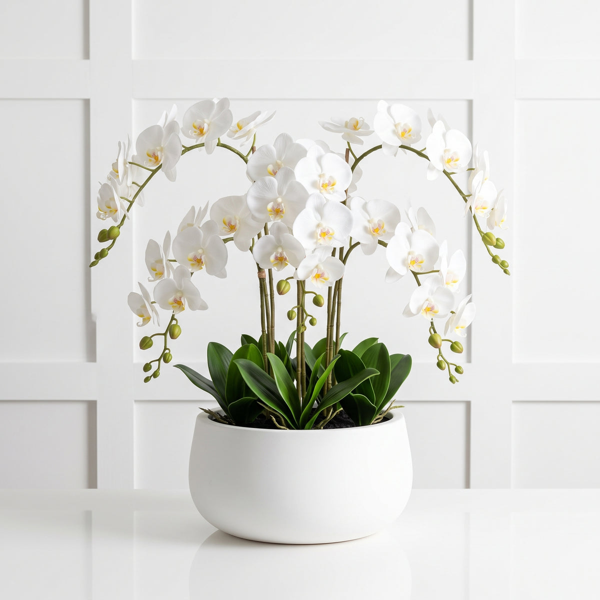 Small pure white Andy bowl planter with white orchid display on an indoor tabletop