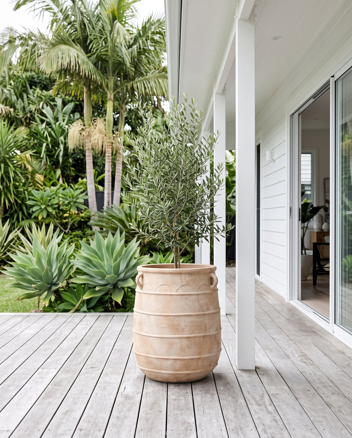 Large antique terracotta Apollo urn styled with potted olive tree on a classic Queenslander timber verandah