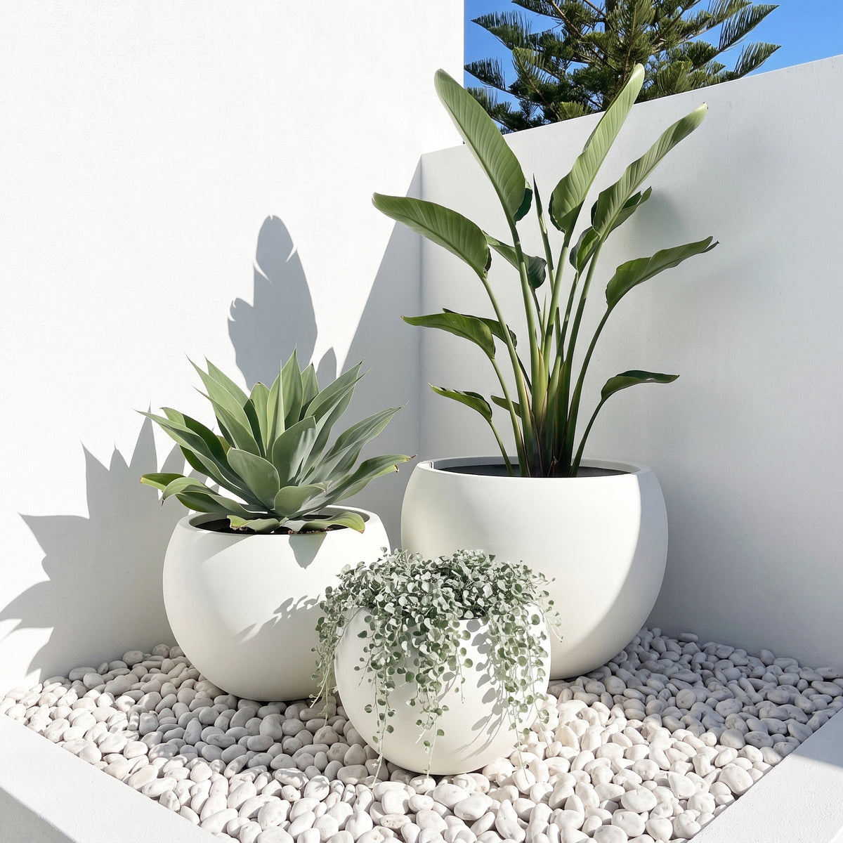 Group styling of Asher pure white moon planters with assorted patio plants