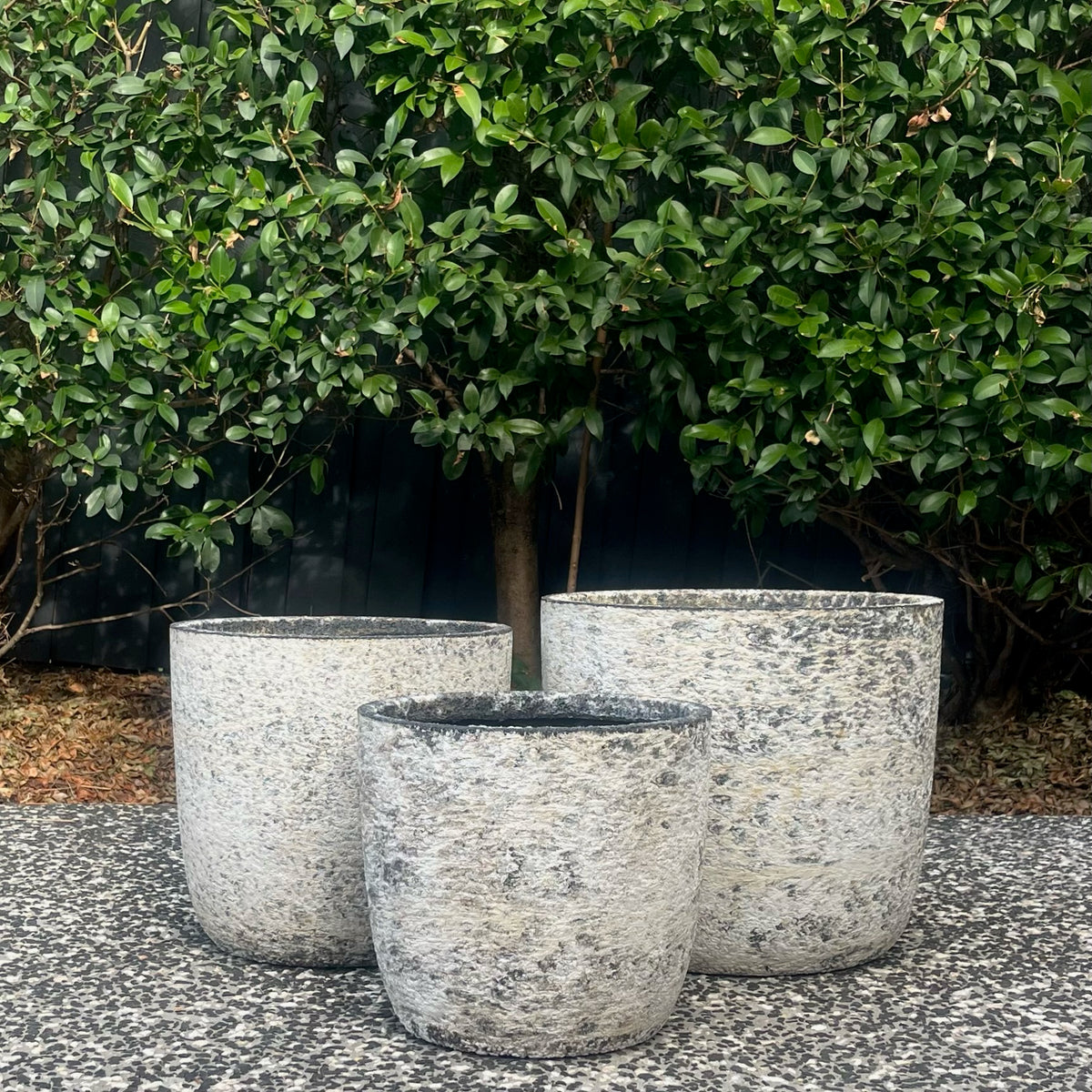 Prague Atlantic White egg planters trio arrangement outdoors in garden setting