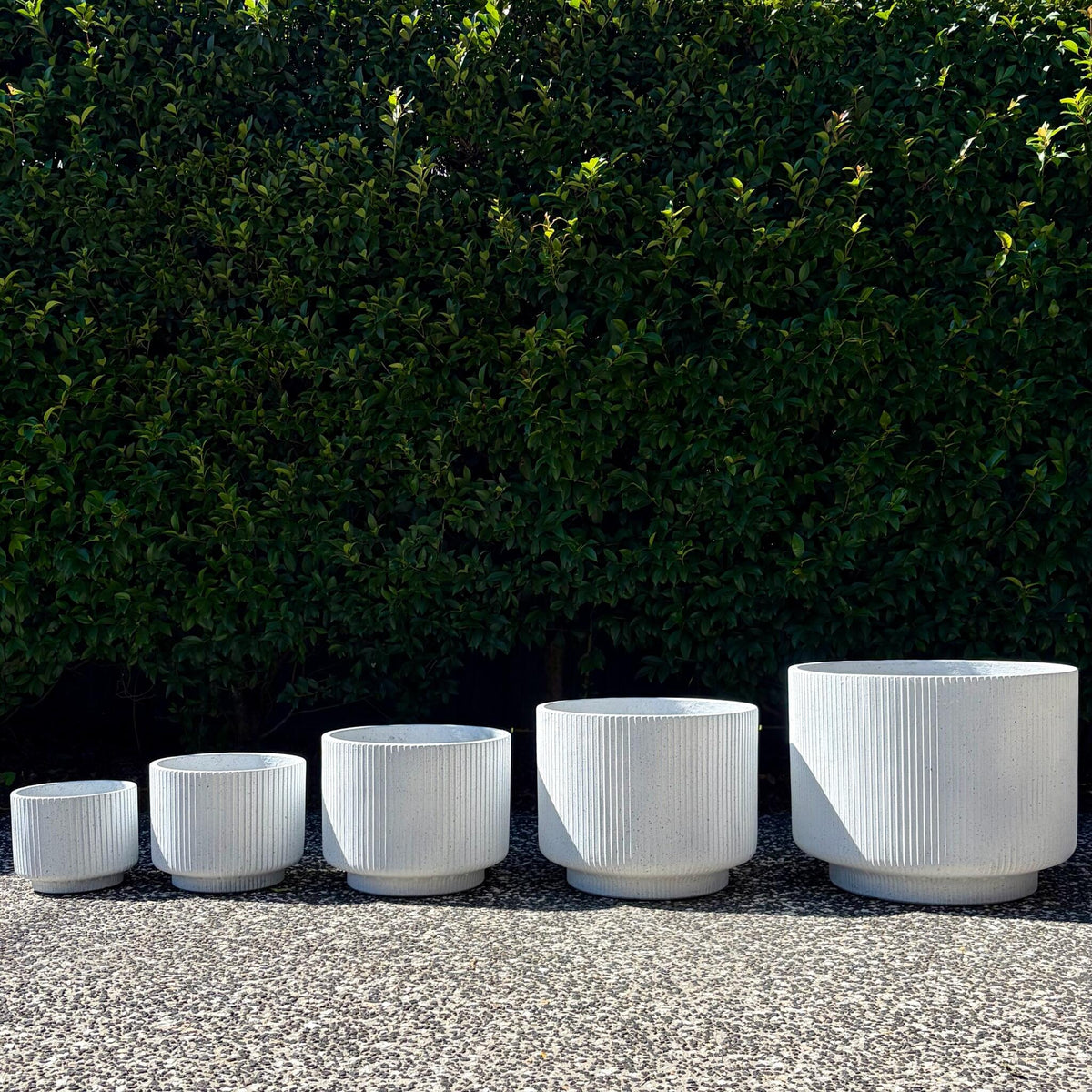 Complete size range lineup of white terrazzo footed cylinder pots from Small to XX