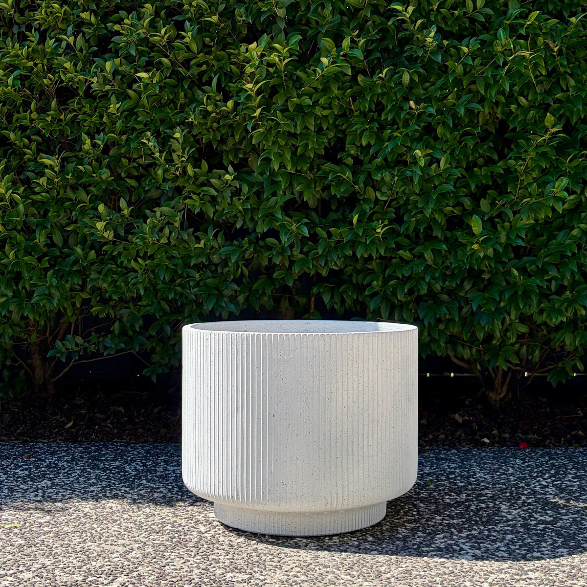 Single white terrazzo footed cylinder pot highlighting vertical ribbing and pedestal base