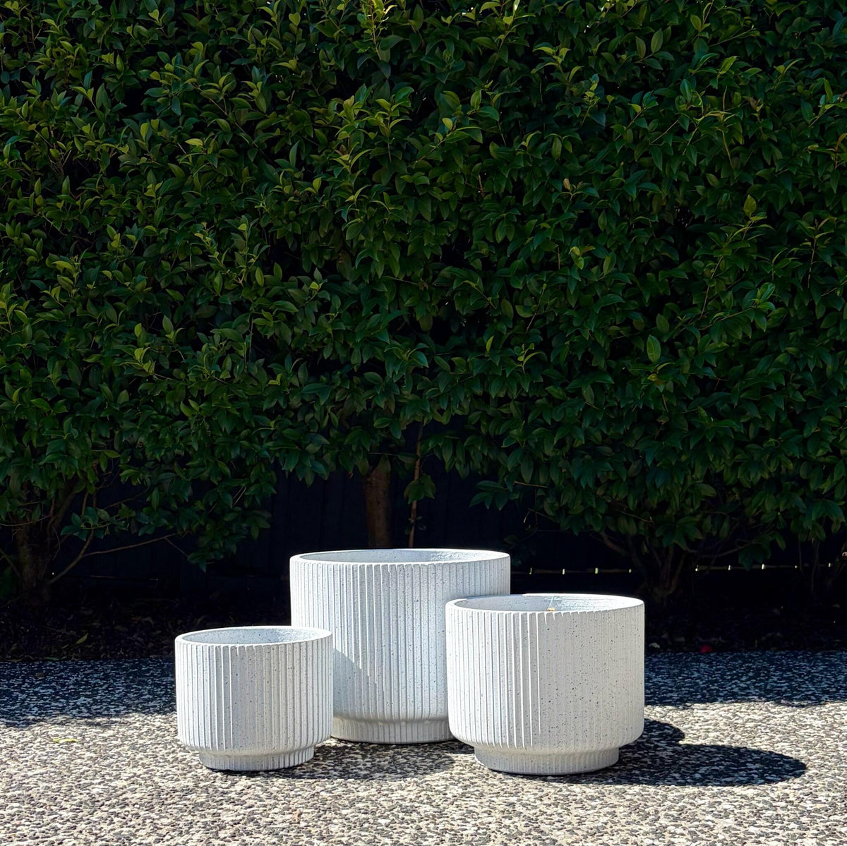 Trio cluster of ribbed white terrazzo footed cylinder planters on outdoor gravel