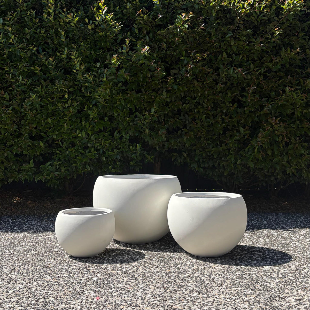 Complete size range of Asher pure white moon planters in garden lineup