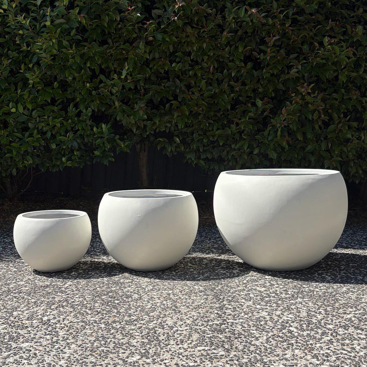 Complete size range of Asher pure white moon planters in garden lineup