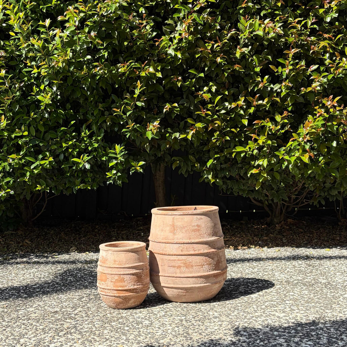 Medium and small antique terracotta curved belly pots paired outdoors
