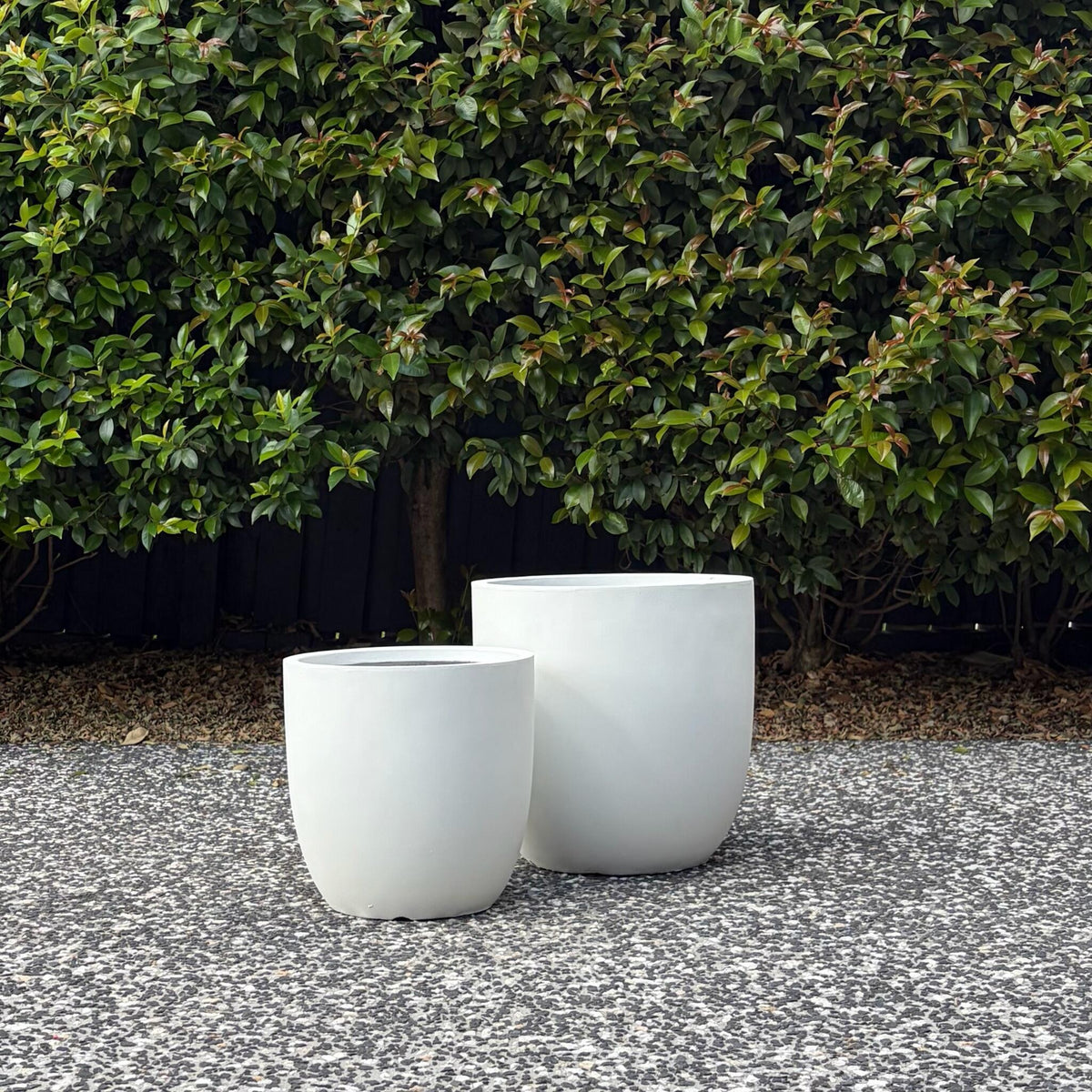 Pair of pure white Asher egg garden pots on gravel against green hedge