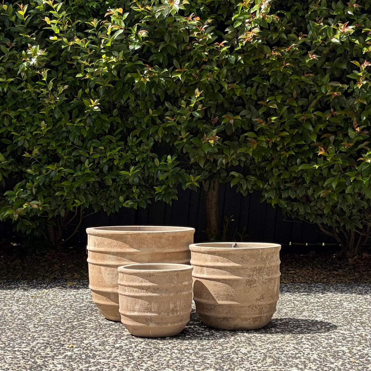 Trio cluster of antique terracotta Olympic pots against green hedge background