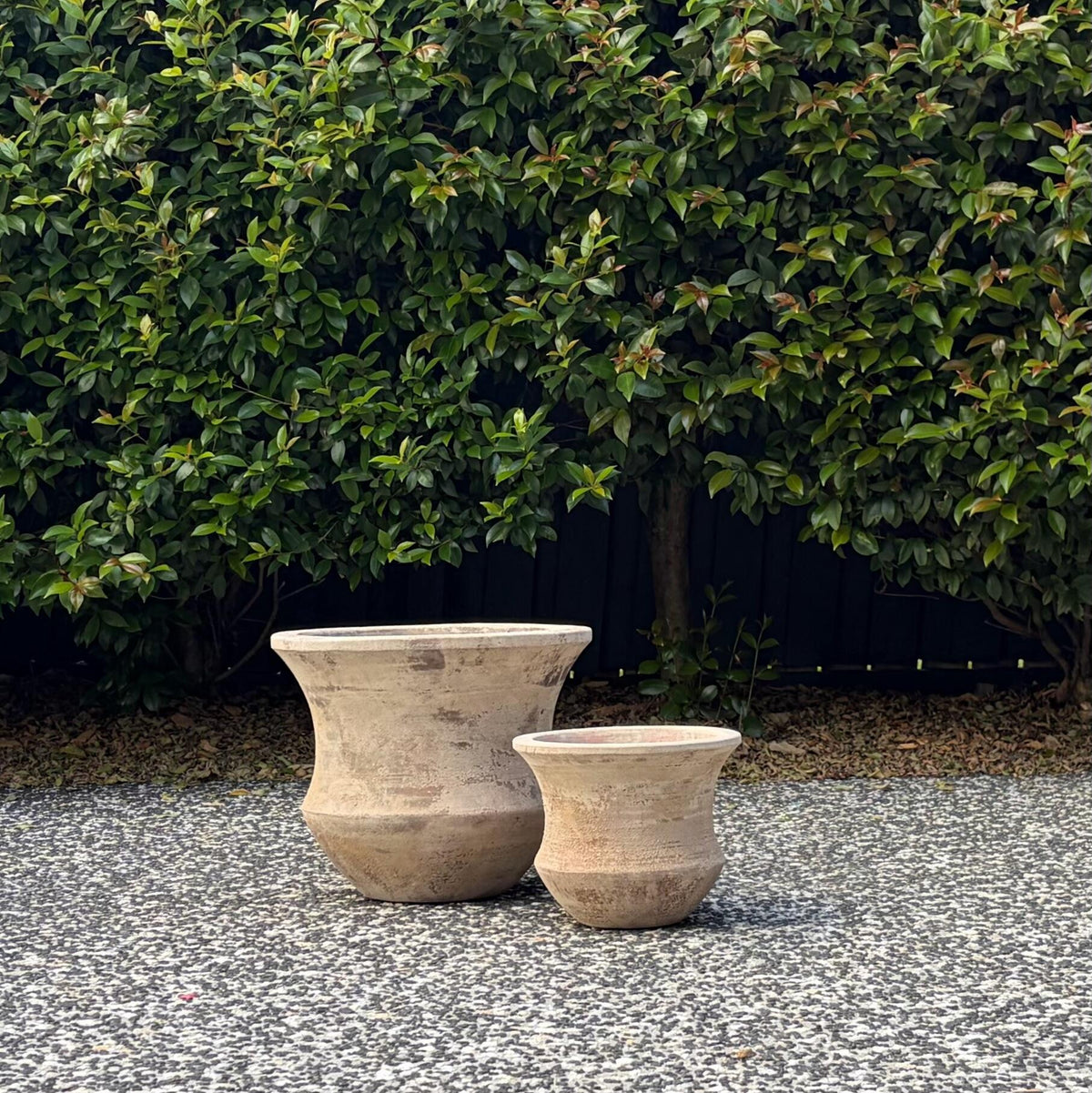 Medium and small antique terracotta Lucinda flared pots paired on gravel