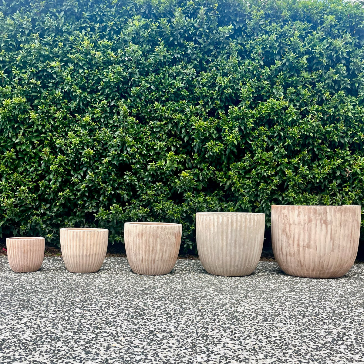 Complete size range lineup of antique terracotta Palermo threaded pots from Small to XXL