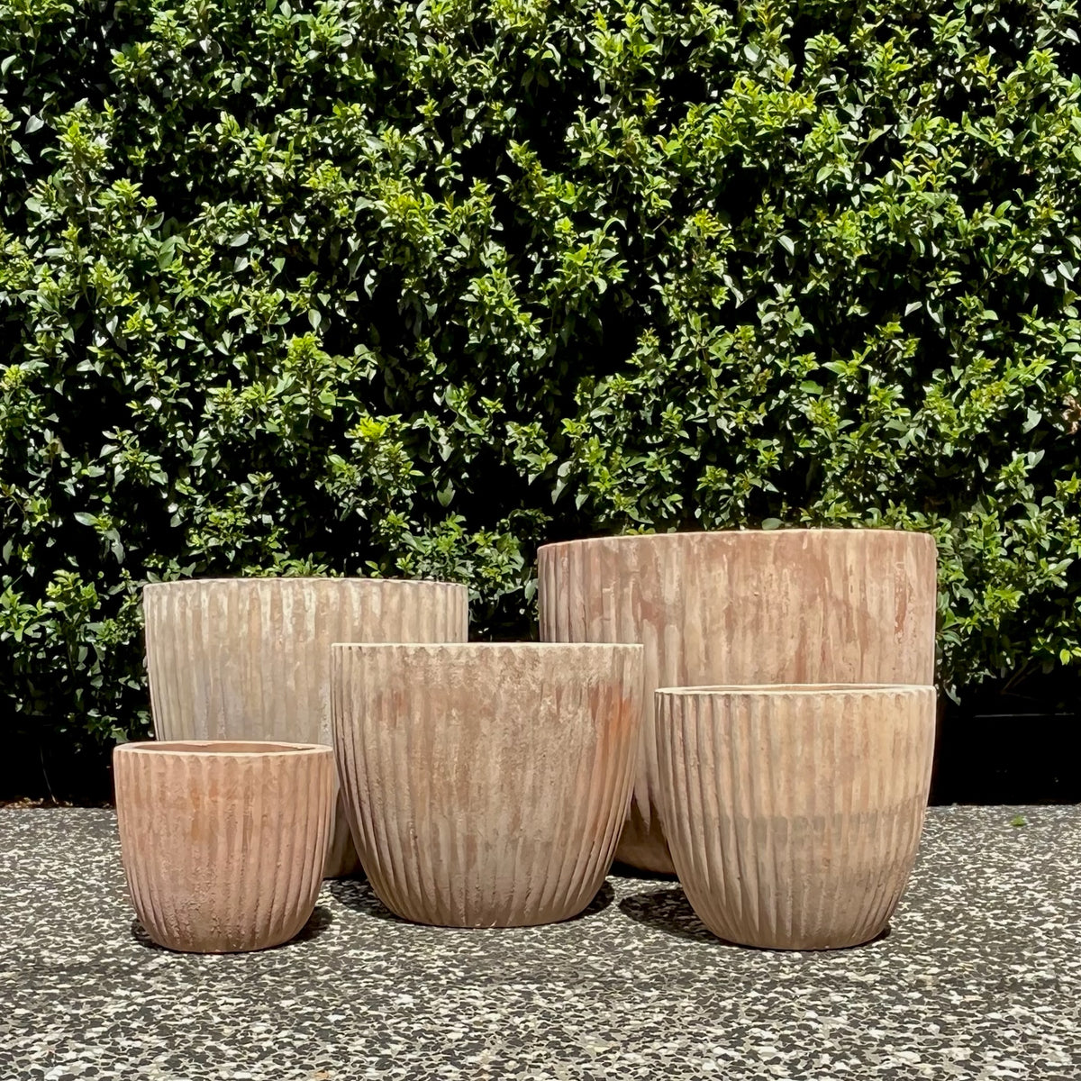Antique terracotta Palermo threads fluted planters cluster for cacti and succulents