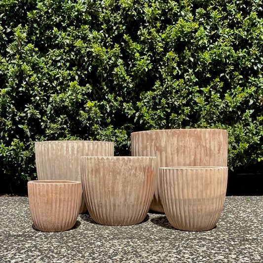 Antique terracotta Palermo threads fluted planters cluster for cacti and succulents