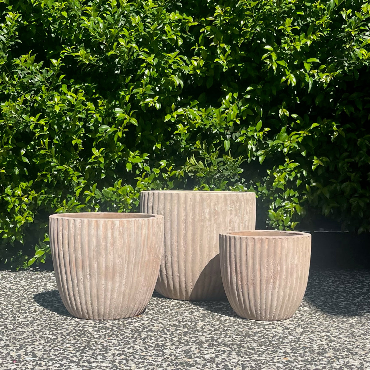 Trio arrangement of textured antique terracotta Palermo fluted planters in garden setting