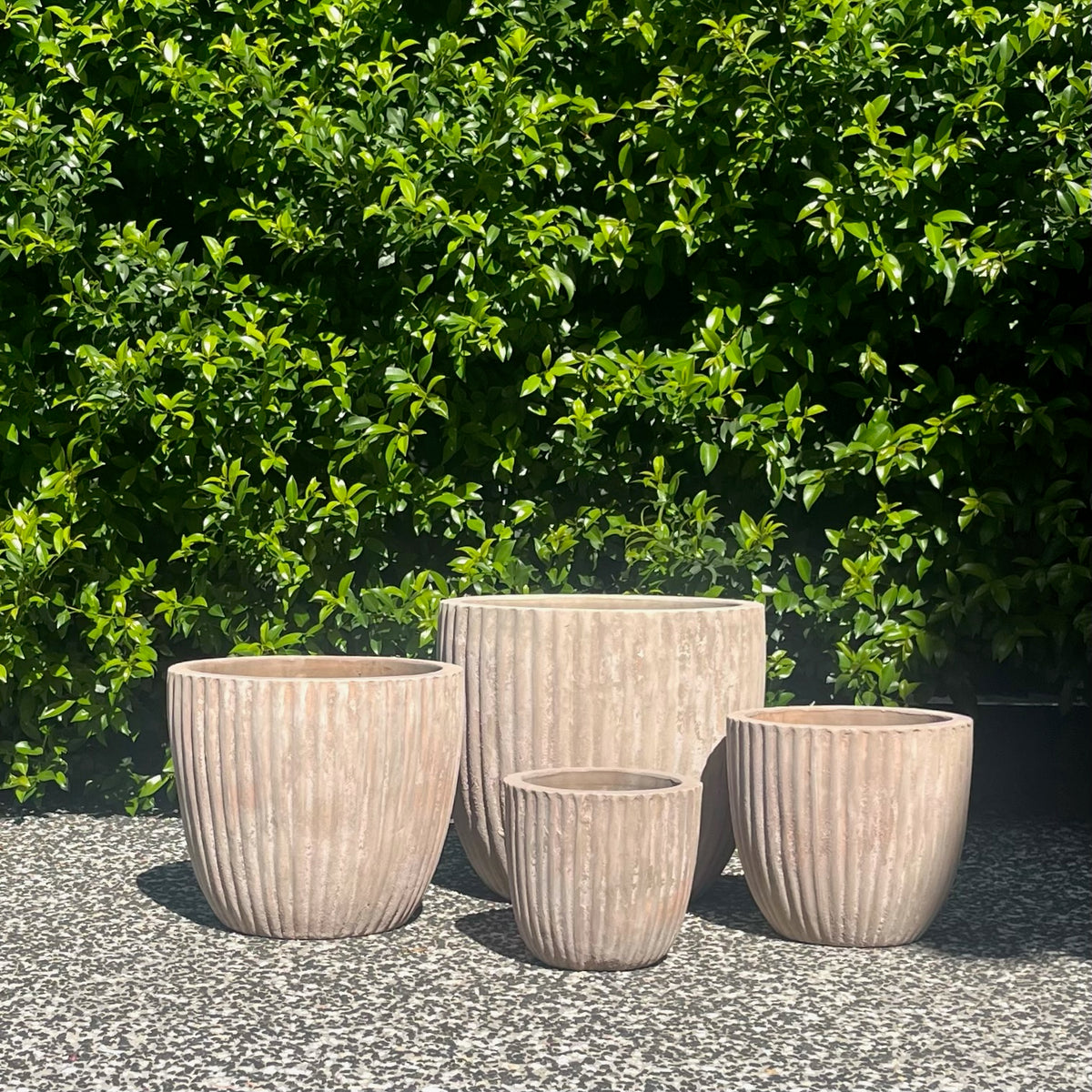 Small and medium antique terracotta Palermo ribbed planters paired outdoors