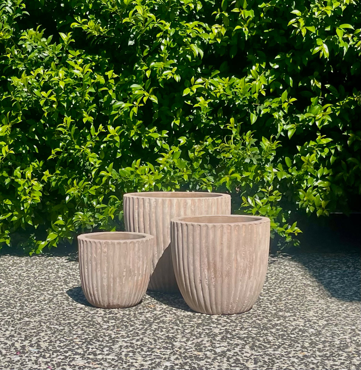 Three antique terracotta Palermo threaded pots styled on outdoor gravel