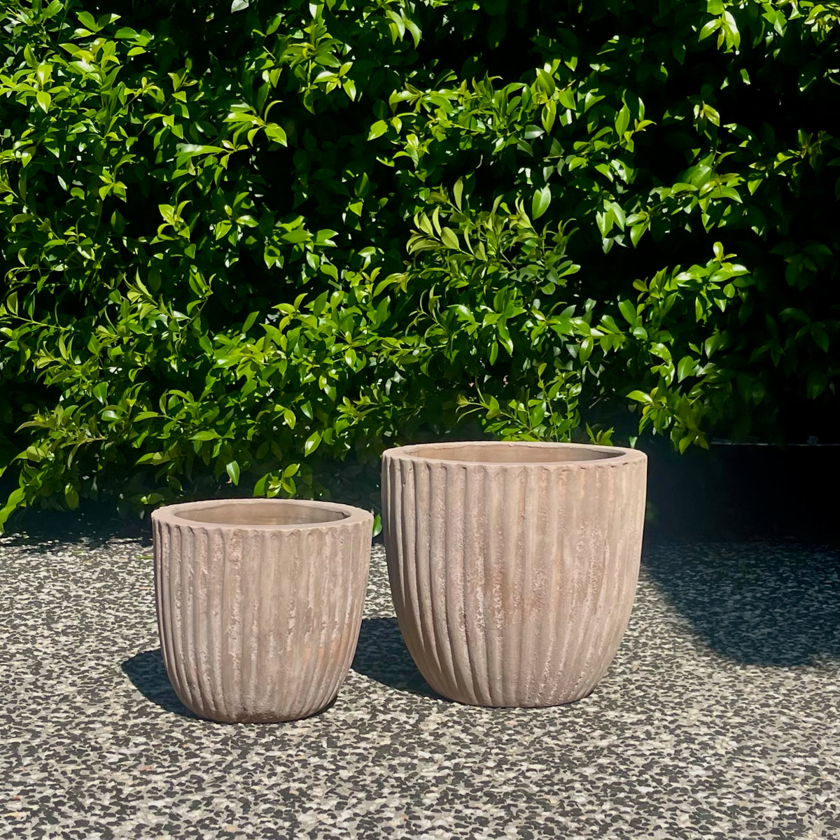 Pair of antique terracotta Palermo threaded pots ideal for outdoor cactus styling